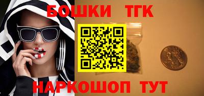 шишки Канаш