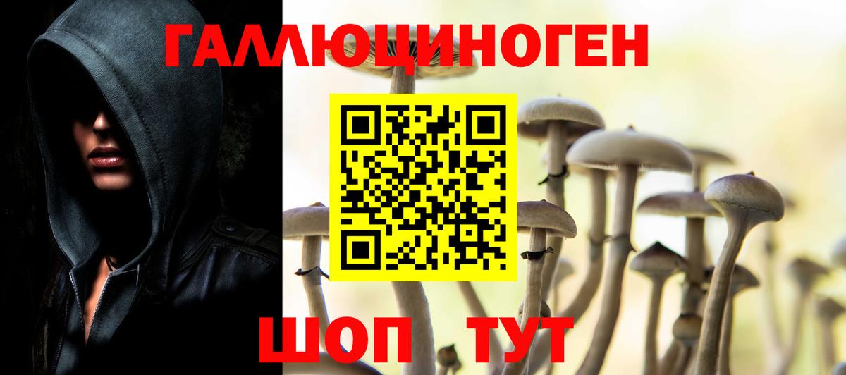 где купить наркоту  Вход с VPN  Псилоцибиновые грибы прущие грибы  Красный Сулин  Псилоцибиновые грибы Psilocybe 